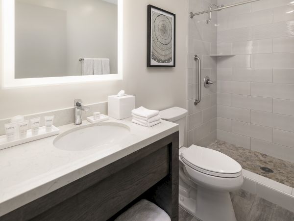 Bright modern bathroom with a marble vanity, framed artwork, folded towels, tiled shower, and a toilet.
