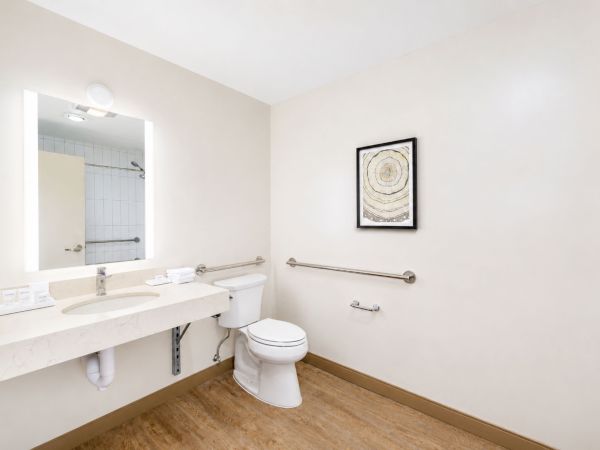 Modern hotel bathroom with sink, toilet, grab bars, and framed abstract wall art.