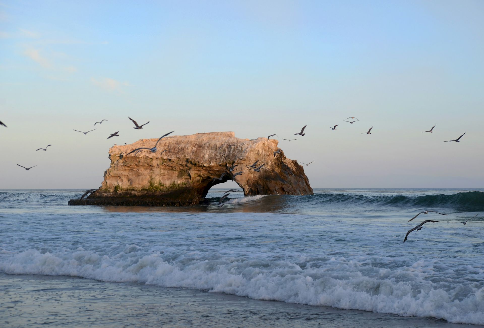 A coastal rock arch rises from the sea as waves roll in, with a flock of seabirds flying above against a clear sky.