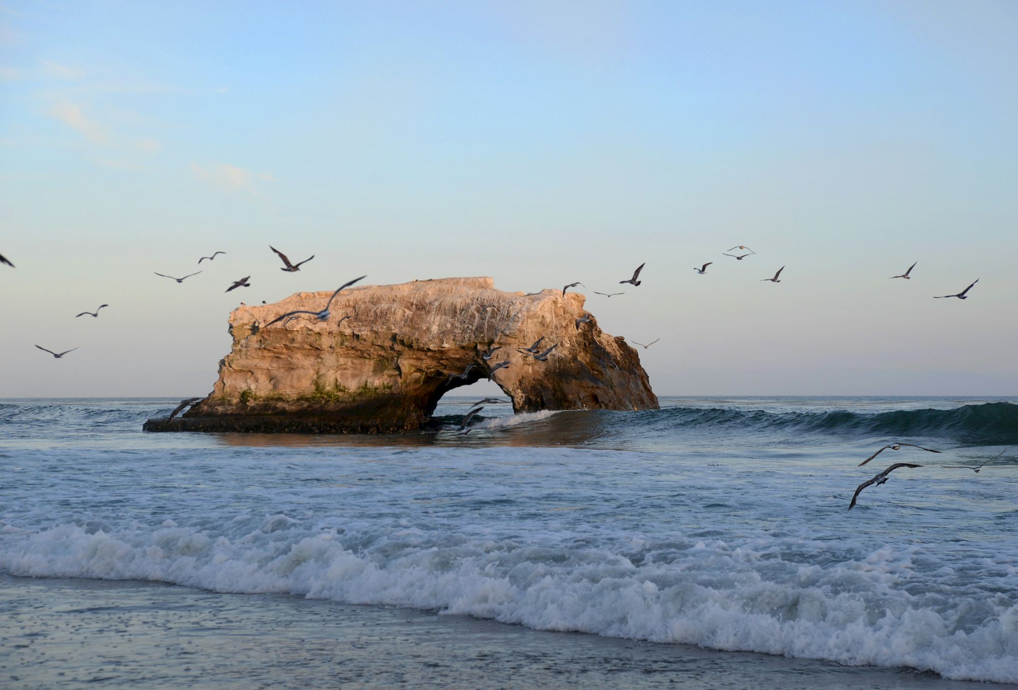 A coastal rock arch rises from the sea as waves roll in, with a flock of seabirds flying above against a clear sky.