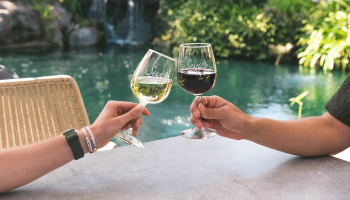 Two friends clink Sevy&rsquo;s wine glasses (white and red) by a sunny pool, toasting together.