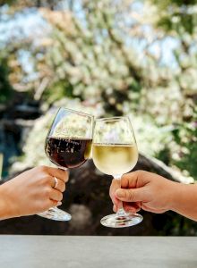 Two friends clink stemmed wine glasses&mdash;one red, one white&mdash;on a sunny outdoor patio with greenery blurred behind them.