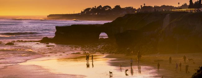 A golden sunset over a rocky coastline, with waves, beachgoers strolling and dogs playing along the shore, and a lone tree silhouetted.