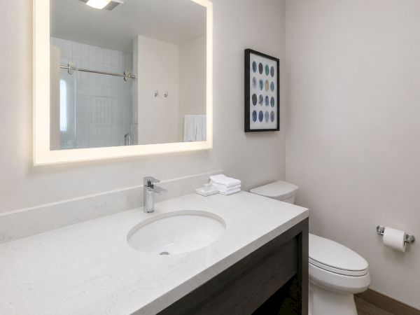 A modern bathroom with a marble sink vanity, toilet, framed mirror showing the shower, and a wall artwork.