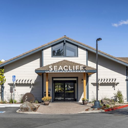 A sunny storefront for &ldquo;SEACLIFFE,&rdquo; a white building with a gabled roof, plants, and a parking lot in front.