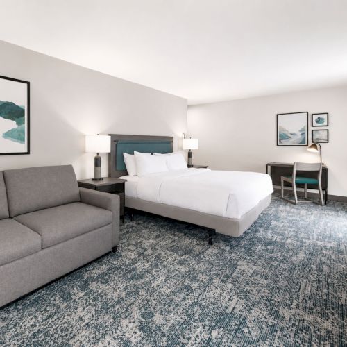 A modern hotel room with a king bed, gray sofa, desk, and framed nature art on pale walls.