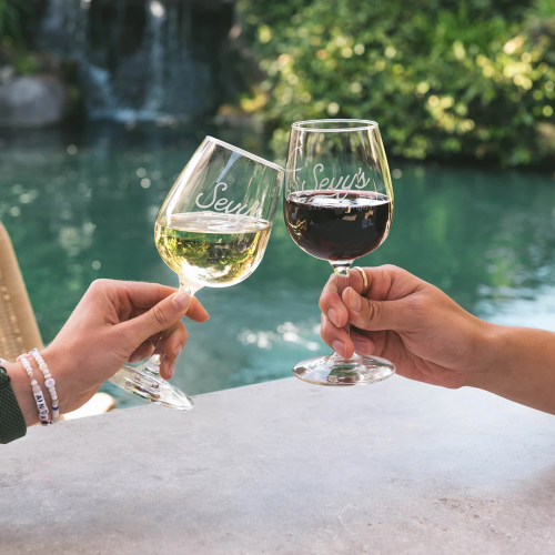 Two hands clink glasses of white and red wine beside a sunny pool, toasting to an afternoon together.